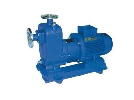 ZCQ���P䓴���������